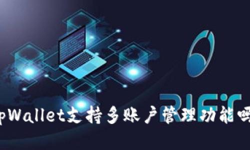 tpWallet支持多账户管理功能吗？