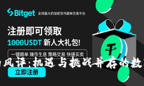 加密货币的风评：机遇与挑战并存的数字资产世界