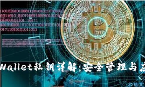 tpWallet私钥详解：安全管理与应用