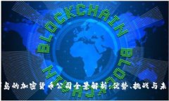 维京群岛的加密货币公司全景解析：优势、挑战