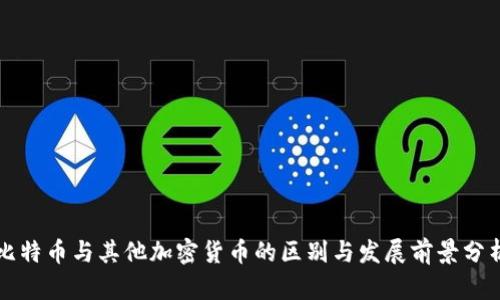 比特币与其他加密货币的区别与发展前景分析