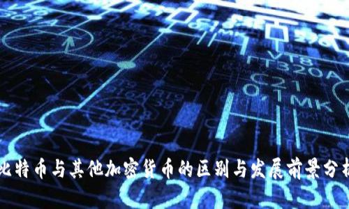 比特币与其他加密货币的区别与发展前景分析