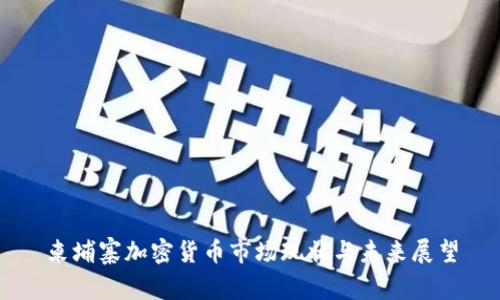 柬埔寨加密货币市场现状与未来展望