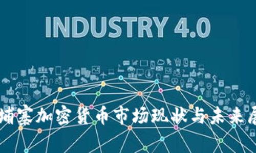 柬埔寨加密货币市场现状与未来展望