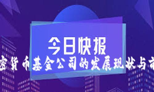 英国加密货币基金公司的发展现状与前景分析