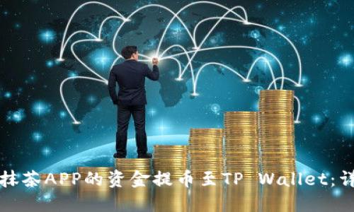 如何将抹茶APP的资金提币至TP Wallet：详细指南
