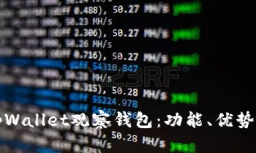全面解析tpWallet观察钱包：功能、优势及使用指南