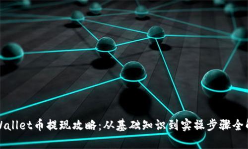tpWallet币提现攻略:从基础知识到实操步骤全解析