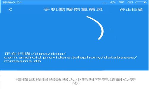 tpWallet开源吗？深入解析tpWallet的开源状态与开发者社区