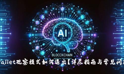 : tpWallet观察模式如何退出？详尽指南与常见问题解答