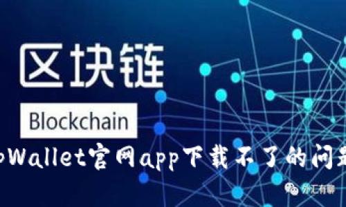 如何解决tpWallet官网app下载不了的问题：全面指南
