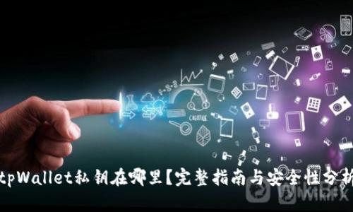 tpWallet私钥在哪里？完整指南与安全性分析
