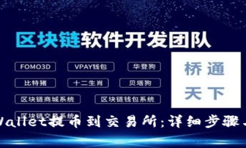 如何从tpWallet提币到交易所：详细步骤与注意事项