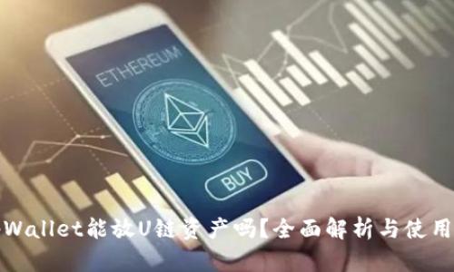 : tpWallet能放U链资产吗？全面解析与使用指南