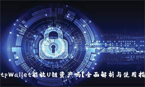 : tpWallet能放U链资产吗？全面解析与使用指南