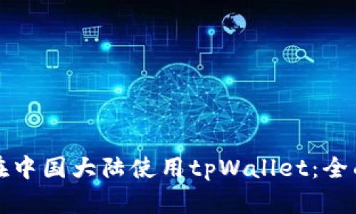 如何在中国大陆使用tpWallet：全面指南