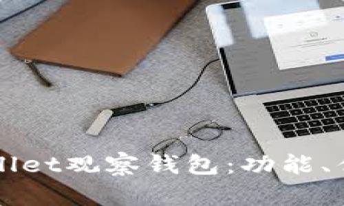 全面解析tpWallet观察钱包：功能、优势及使用指南