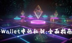 如何找回tpWallet中的私钥：全面指南与步骤解析