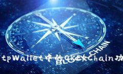 深入解析tpWallet中的OKExChain功能与应用