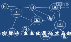 BTCV加密货币：未来发展的黑马趋势分析