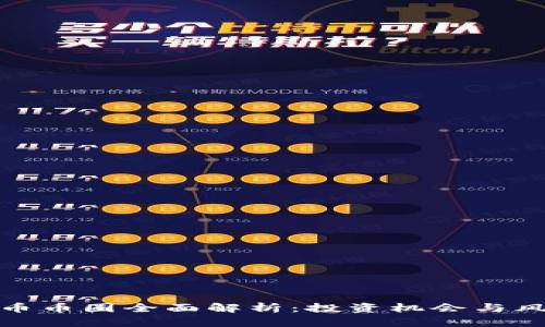 加密货币币圈全面解析：投资机会与风险管理