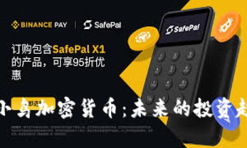 深入解析月亮小鸟加密货币：未来的投资趋势与潜在风险