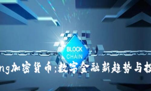 DogeKing加密货币：数字金融新趋势与投资机会