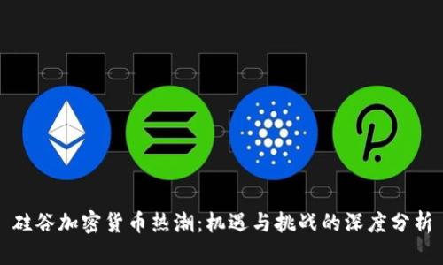 硅谷加密货币热潮：机遇与挑战的深度分析