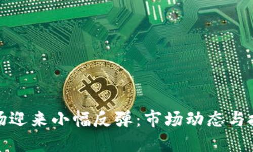加密货币市场迎来小幅反弹：市场动态与投资策略分析