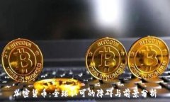   加密货币：全球认可的障碍与前景分析