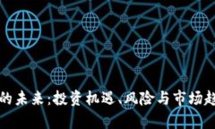 加密货币的未来：投资机遇、风险与市场趋势全