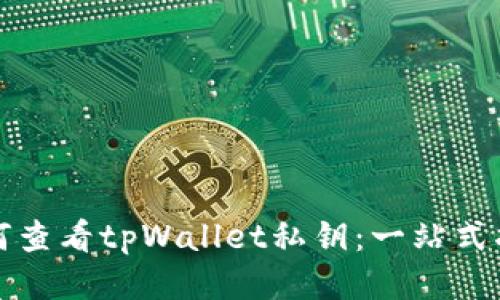 如何查看tpWallet私钥：一站式指南