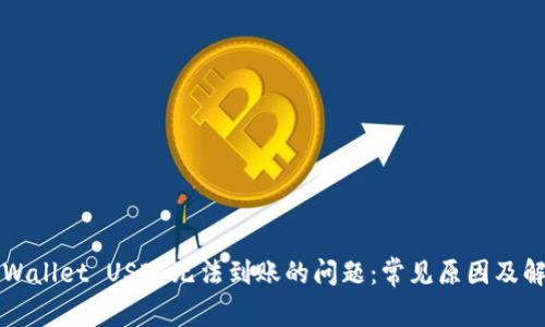 解决tpWallet USDT无法到账的问题：常见原因及解决方案