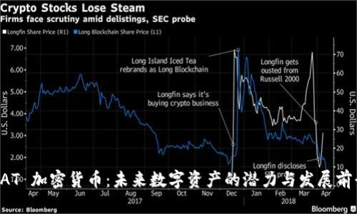 DAT 加密货币：未来数字资产的潜力与发展前景