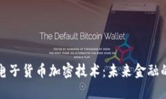 深入探讨电子货币加密技术：未来金融的安全保