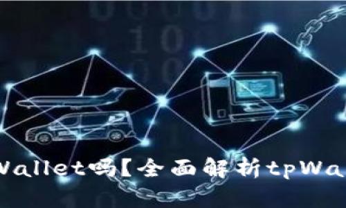 是什么币都能提到tpWallet吗？全面解析tpWallet的支持币种与功能