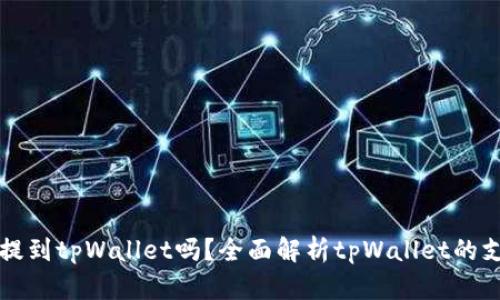 是什么币都能提到tpWallet吗？全面解析tpWallet的支持币种与功能