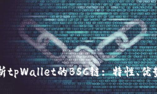 全面解析tpWallet的BSC链: 特性、优势与应用