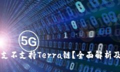 tpWallet支不支持Terra链？全