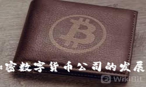 中国国产加密数字货币公司的发展与未来展望
