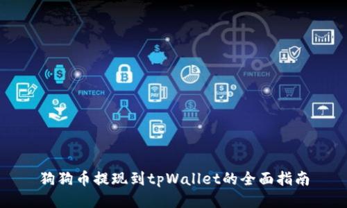 狗狗币提现到tpWallet的全面指南