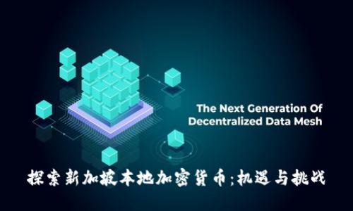 探索新加坡本地加密货币：机遇与挑战