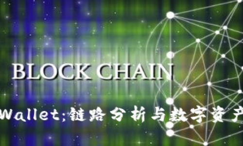 全面解析tpWallet：链路分析与数字资产管理的未来