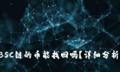 tpWallet BSC链的币能找回吗