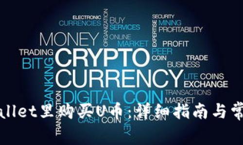 如何在tpWallet里购买U币：详细指南与常见问题解答