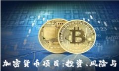   深入探索加密货币项目：