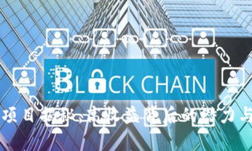 tpWallet项目揭秘：高收益背后的潜力与风险分析