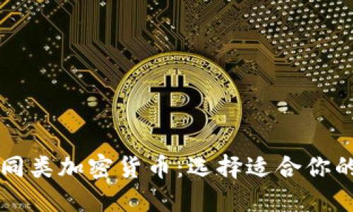 深入了解同类加密货币：选择适合你的数字资产